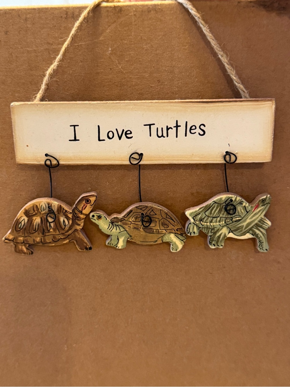 “I Love Turtles” small Wall Hanging